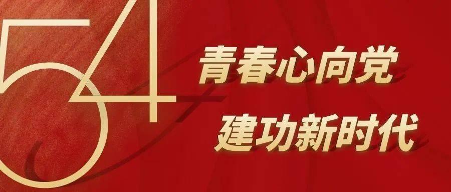 熊仔之熊猫大侠修行路