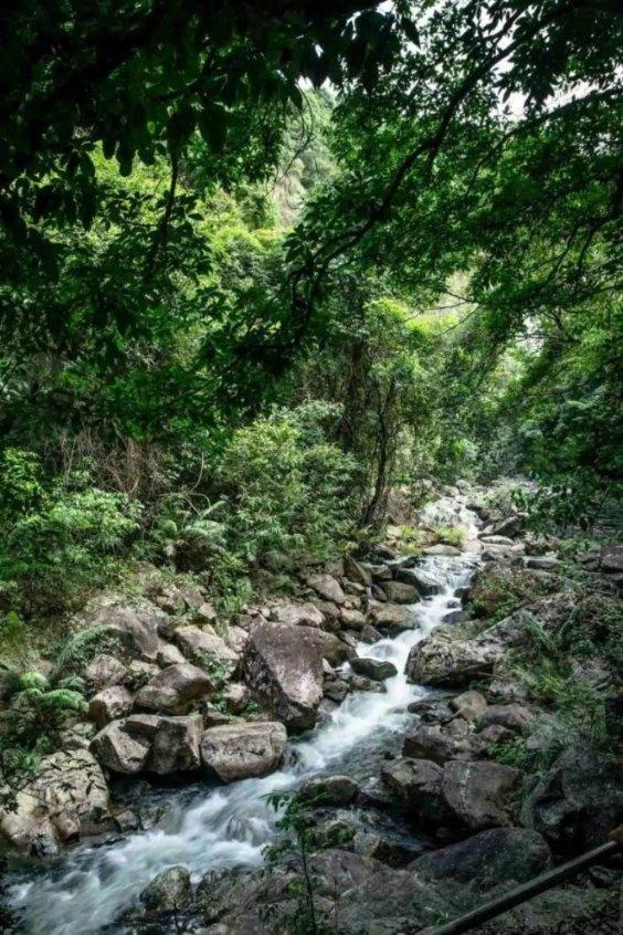 美女幼师靠儿歌一夜走红,是炒作还是偶然?-专业知识问答平台